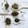Σετ τσαγιού ALAIN DUCASSE, 5 x 20 g σε κουτάκι + φίλτρο, Kusmi Tea