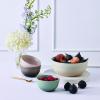 223650 1 jidelni miska coupe 12 cm 350 ml sea salt kamenina le creuset